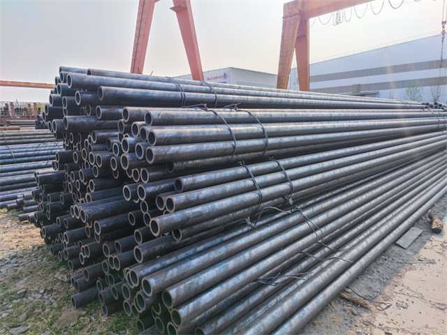 IMG_20230401_155843.jpg IMG_20230401_155843.jpg